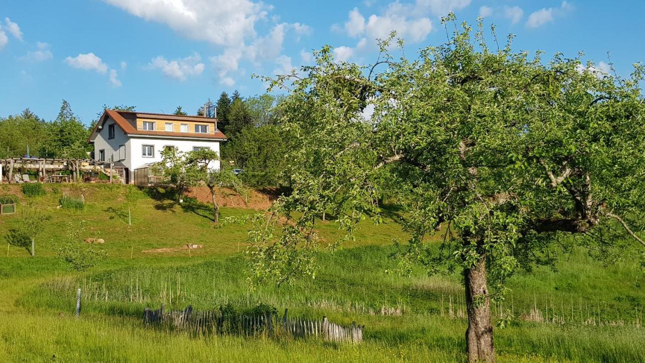 Coeur Vert Oekologisch Mit Viel Ambiente Fuer Seelen-Wellness رونتشامب المظهر الخارجي الصورة